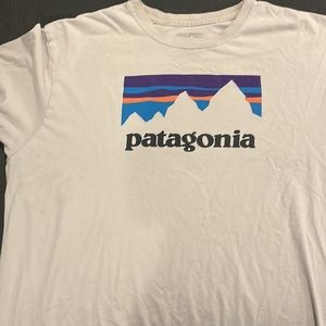 Patagonia mens tshirt